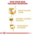ROYAL CANIN BOXER 3K XIRA TROFI SKuLOu